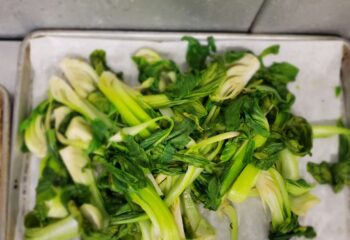 1lb Cooked Bok Choy