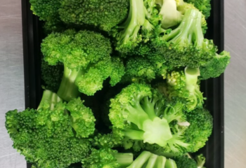 1lb Cooked Broccoli