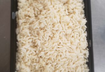 1lb Cooked White Rice